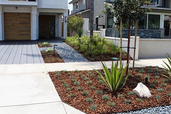 yard